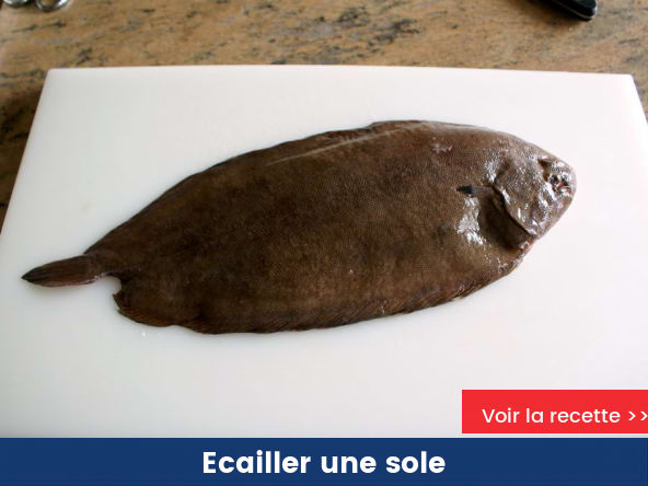 Ecailler une sole